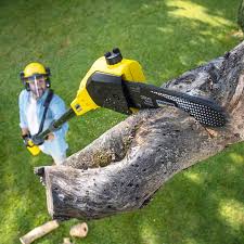 Best Stump Grinding and Removal  in New Lenox, IL